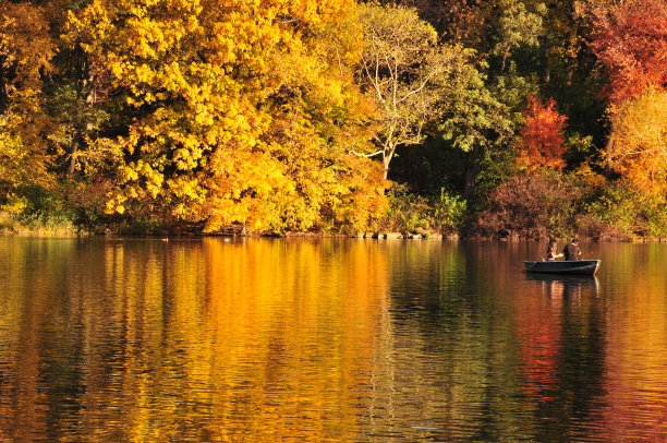 落在中央公园图片下载