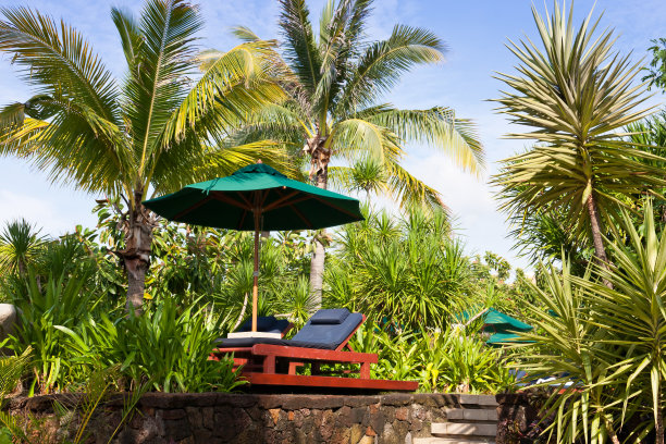 热带度假胜地图片下载