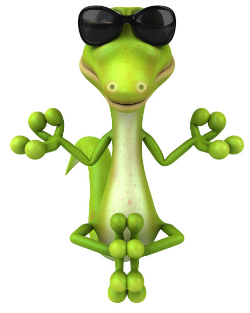 禅蜥蜴图片下载