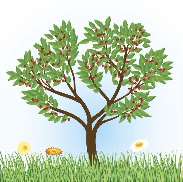 樱桃树图片下载