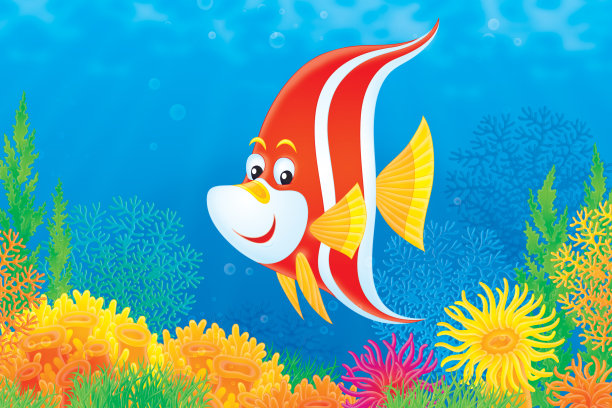 热带鱼图片下载