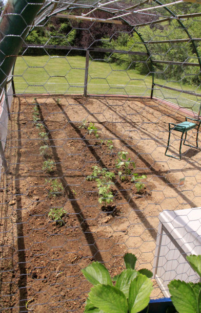 园艺在家里图片下载