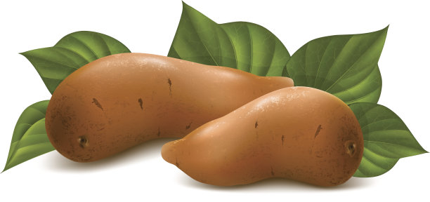 带叶子的甘薯。图片下载