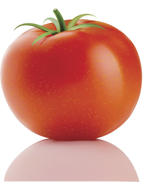 红色桁架番茄图片下载