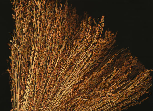 而且生活很容易图片下载