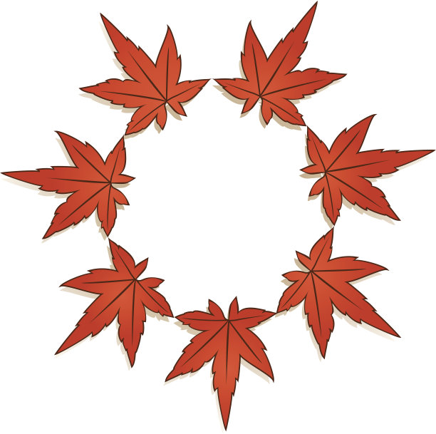 枫叶-秋天的颜色素材图片