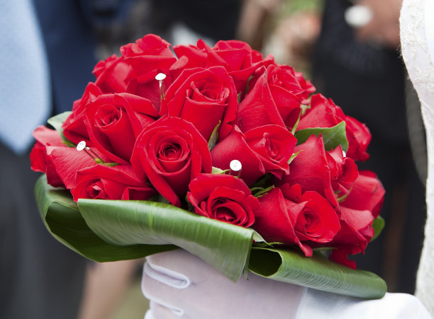 新娘花束图片下载