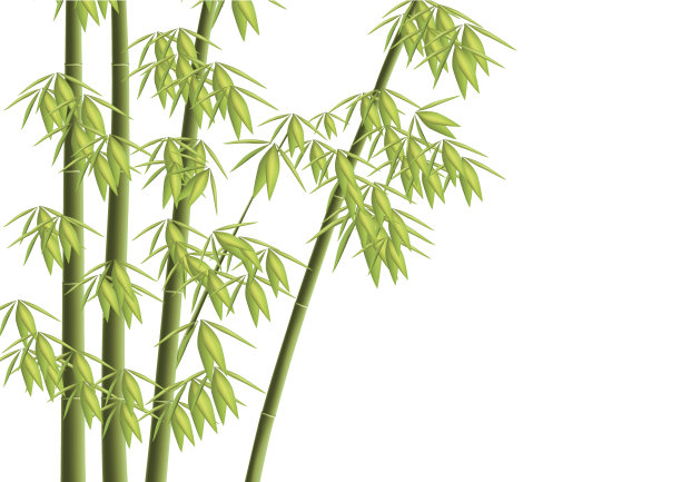 设计元素——矢量竹树素材图片