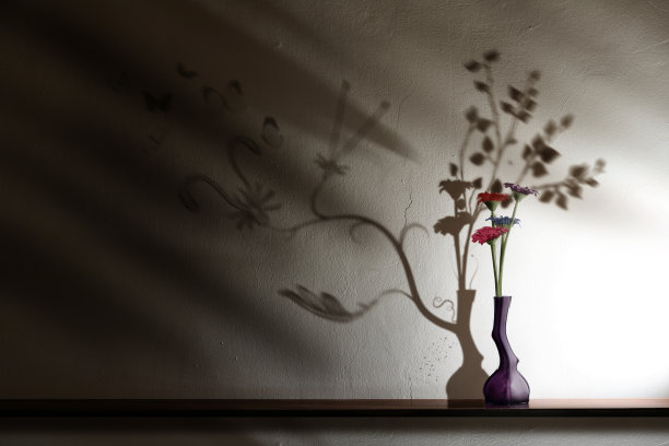 美丽的花，有着可怕的影子图片下载