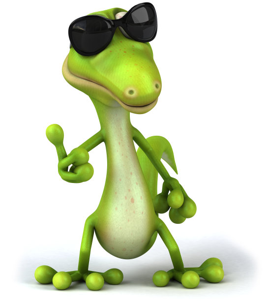 禅蜥蜴图片下载