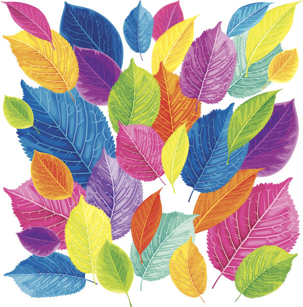 色彩鲜艳的叶子背景图片下载