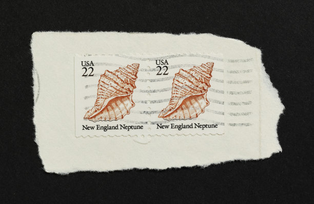 美国邮票图片下载