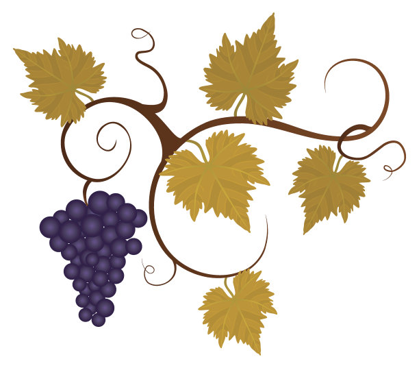 秋天葡萄树。图片下载