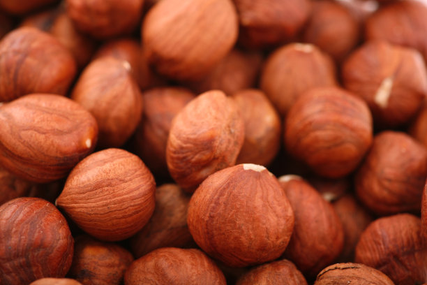 榛子为背景图片下载