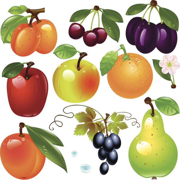 在白色的背景上采集水果。素材图片