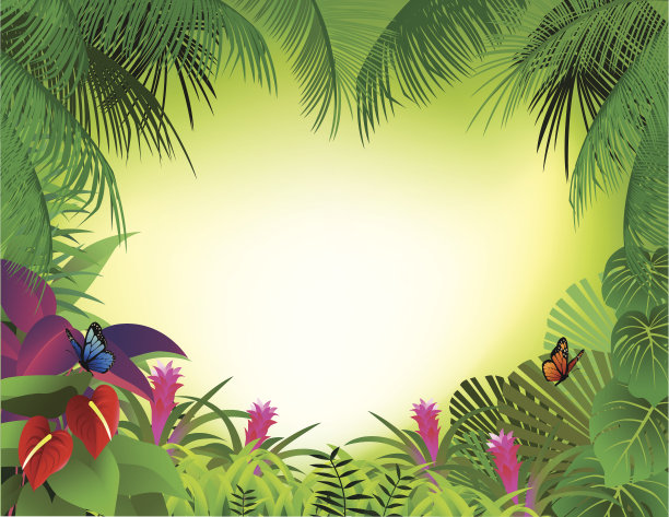 热带雨林背景图片下载