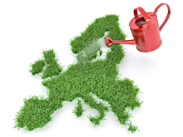 以欧洲的形式浇灌草坪图片下载