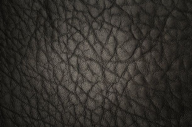 豪华的皮革图片下载