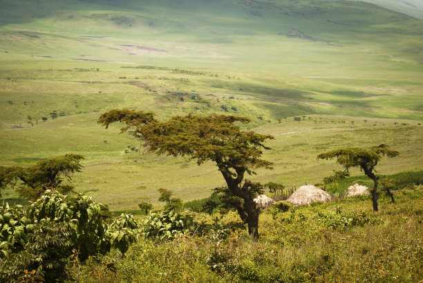 坦桑尼亚恩戈罗戈罗火山口下的平原上，马赛族人的家园图片下载