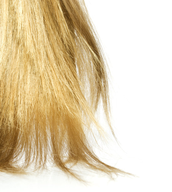 金发配白头发图片下载