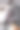 斗牛犬图片下载