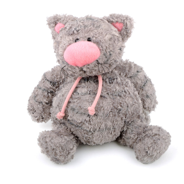 泰迪猫图片下载