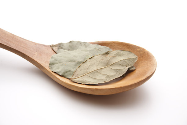 月桂叶图片下载