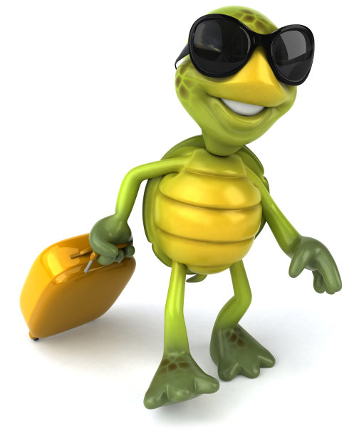 带手提箱的乌龟图片下载