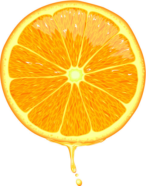 橙片素材图片