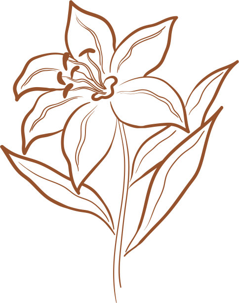 抽象的花朵,象形图图片下载