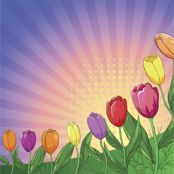 花的背景,郁金香图片下载