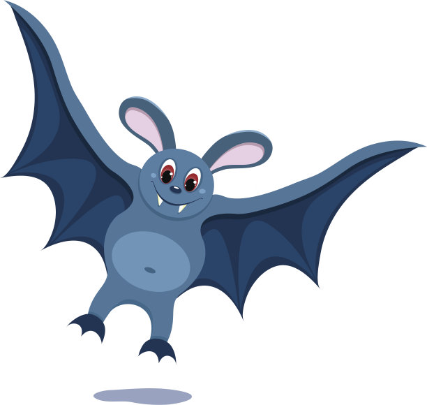 蝙蝠。图片下载