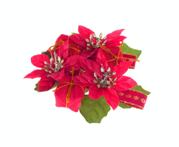 圣诞装饰图片下载