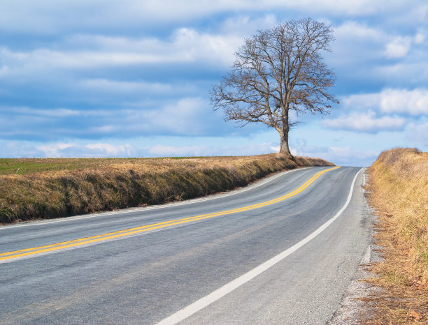 乡间小路图片下载