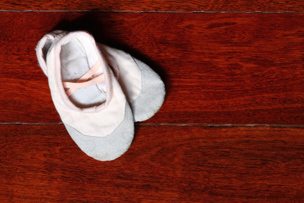 芭蕾舞鞋拖鞋图片下载