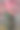 花瓶中的花图片下载