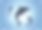 海豚在水下图片下载
