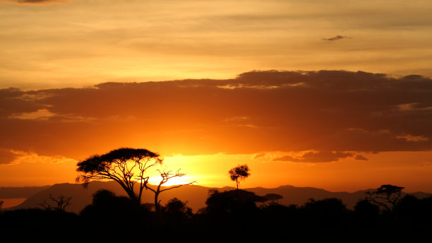 日落时的热带草原景观图片下载