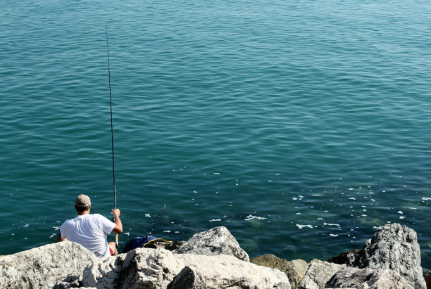 在海里运动的鱼图片下载