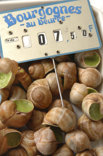 埃斯卡戈特图片下载