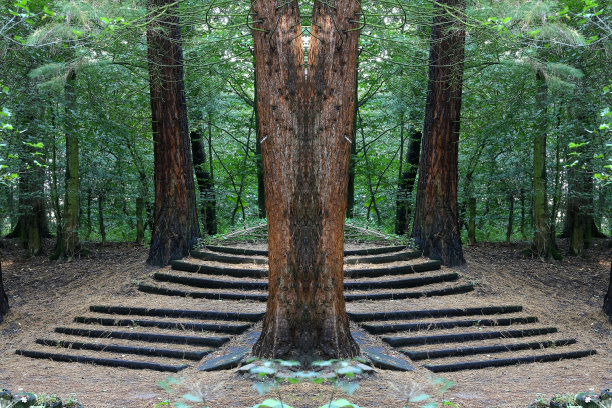 树林里的楼梯图片下载