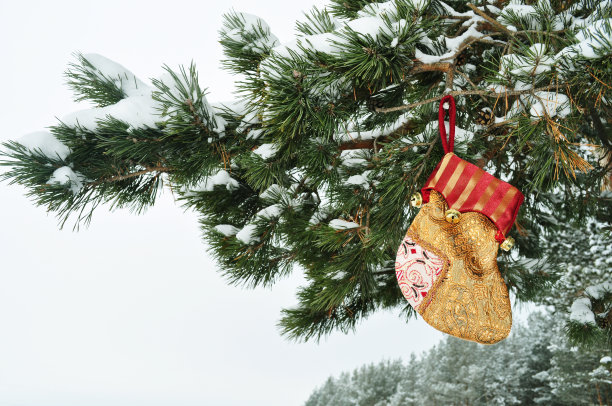 圣诞装饰，为礼物，水平，特写图片下载