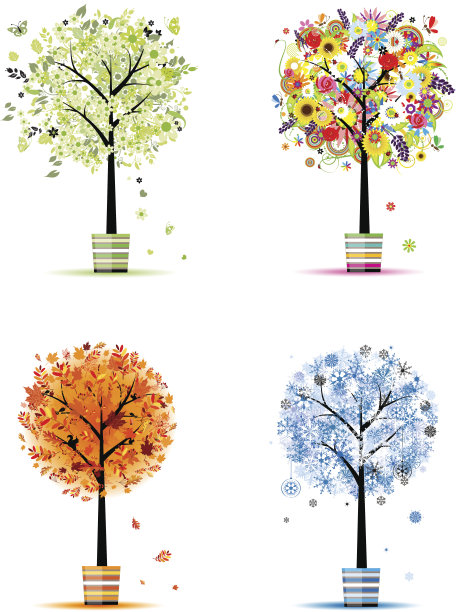 四季——春、夏、秋、冬。艺术的树木图片下载