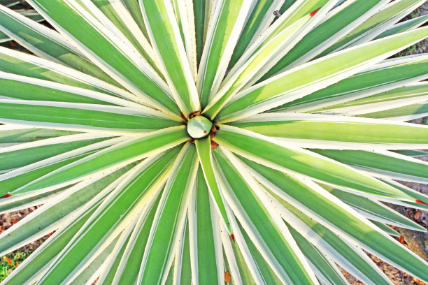 自然背景图片下载