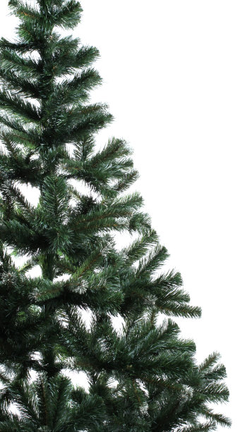 Udrecorated云杉图片下载