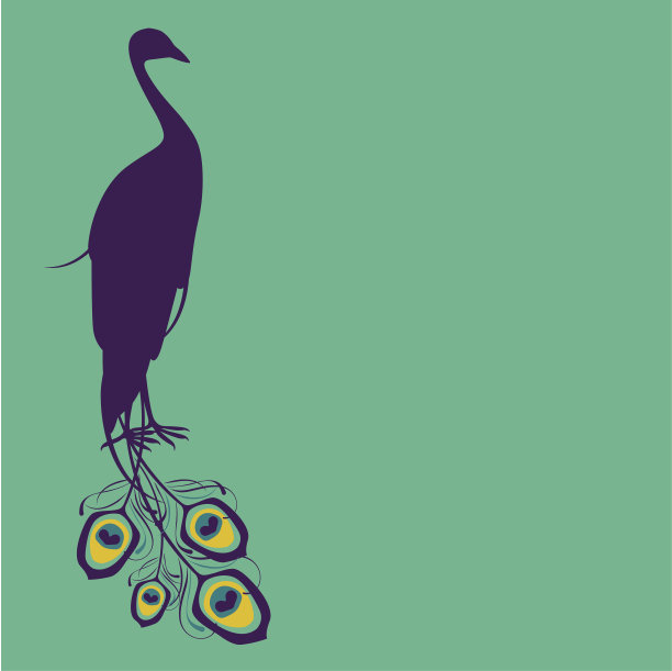 孔雀剪影-年轻的爱情图片下载
