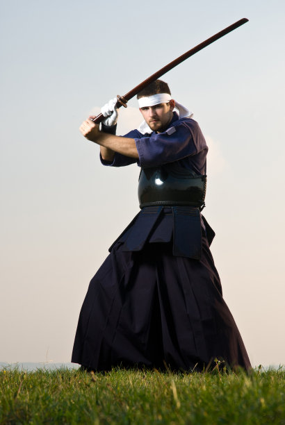 剑道战斗机图片下载