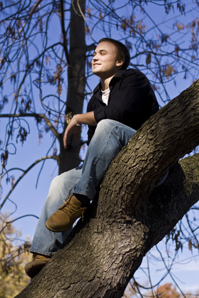 树上的年轻人图片下载