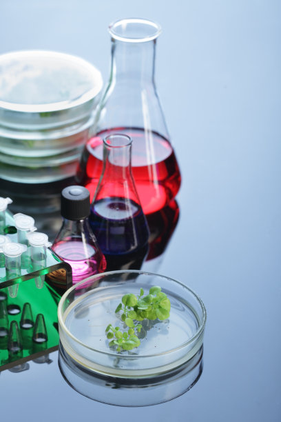 在培养皿中种植图片下载