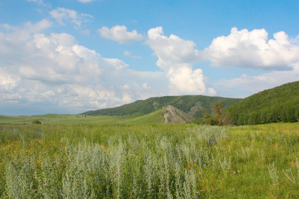 美丽的夏天的风景图片下载